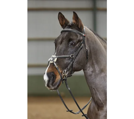 Whitaker BR052 Valencia Super Deluxe Mexican Bridle with Reins Black