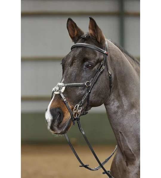 Whitaker BR052 Valencia Super Deluxe Mexican Bridle with Reins Black