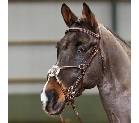 Whitaker BR052 Valencia Super Deluxe Mexican Bridle with Reins Havana