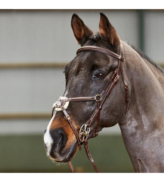 Whitaker BR052 Valencia Super Deluxe Mexican Bridle with Reins Havana