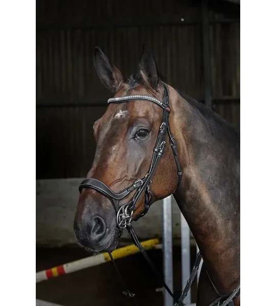 Whitaker BR070 Chicago Anatomic Breathable Bridle with Reins Black