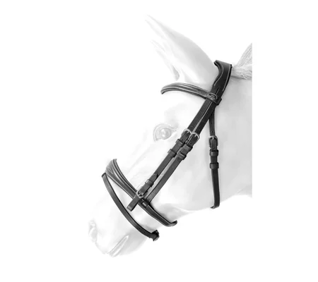 Whitaker BR100 Venice Flash Bridle with Reins Black