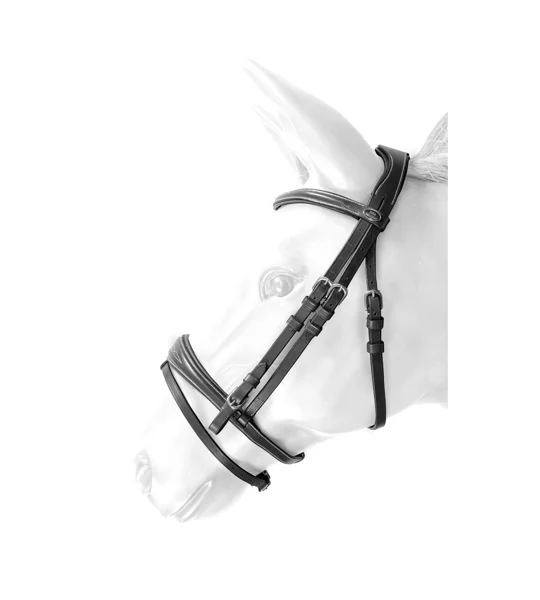 Whitaker BR100 Venice Flash Bridle with Reins Black