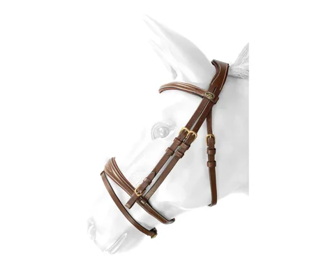 Whitaker BR100 Venice Flash Bridle with Reins Havana