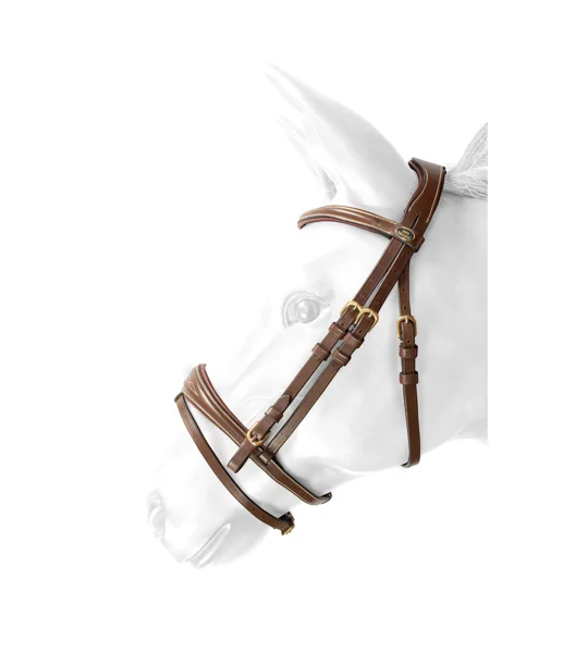 Whitaker BR100 Venice Flash Bridle with Reins Havana