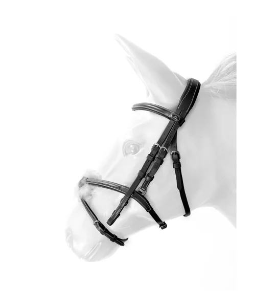 Whitaker BR101 Vienna Mexican Bridle with Reins Black