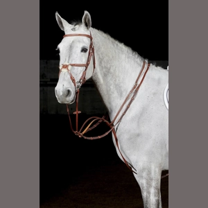 Whitaker MA052 Valencia Luxury Martingale Tan