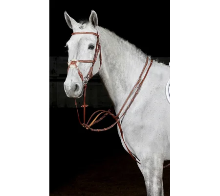 Whitaker MA052 Valencia Luxury Martingale Tan