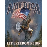 America Let Freedom Reign Sign / Man C..