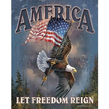 America Let Freedom Reign Sign / Man Cave / Freedom / Eagle Sign America Let Freedom Reign Sign / Man Cave / Freedom / Eagle Sign