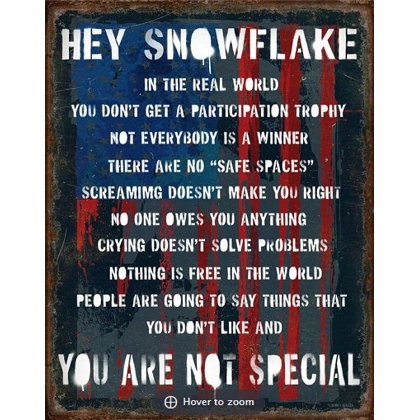 Hey Snowflake Sign / USA / Funny / Man Cave Hey Snowflake Sign / USA / Funny / Man Cave