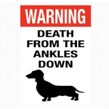 Dog Magnet / Dog Lover Gift / Dog Magn..