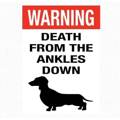 Dog Magnet / Dog Lover Gift / Dog Magnets / Dachshund / Doxie Dogs Sign Gift