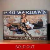 Bombshell Beauty Sign / P-40 Warhawk S..