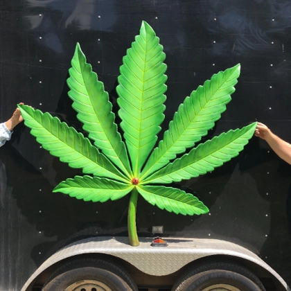 Marijuana Signs Marijuana Wall Decor / Dispensary Sign / Weed 420 Friendly Wood Statue