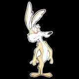 Life Size Wile E. Coyote Sign / Road R..