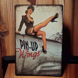 Pin-Up Wing Sign / Aircraft Signs / Wa..