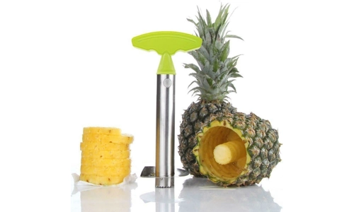 Pineapple Fruit Corer Slicer Peeler Cutter Parer Stainless Steel Kitchen Tool