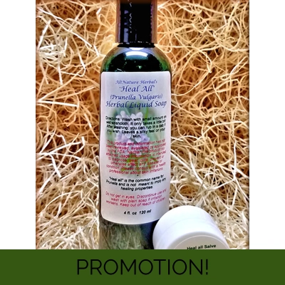 4 oz. Heal All Liquid Wash with Sample Size Heal-All Salve