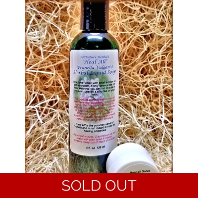 4 oz. Heal All Liquid Wash with Sample Size Heal-All Salve