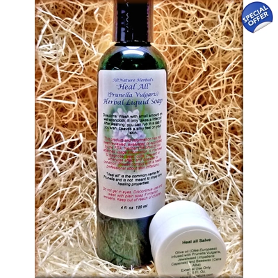 4 oz. Heal All Liquid Wash with Sample Size Heal-All Salve