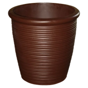 Tequila Large Dark Bark