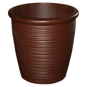 Tequila Large Dark Bark