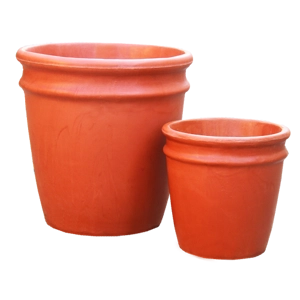 Ringnek Medium Rouge
