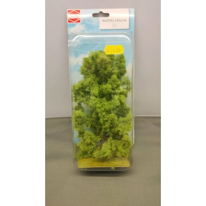 Busch HO. Large Ash Tree