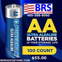 Powermax 100-Count Double AA Batteries