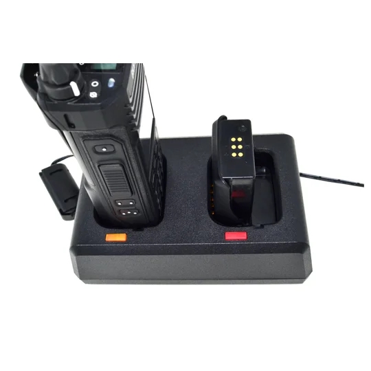 BKR-0303 DUAL SLOT CHARGER