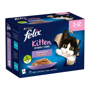Felix Junior Sachets /24