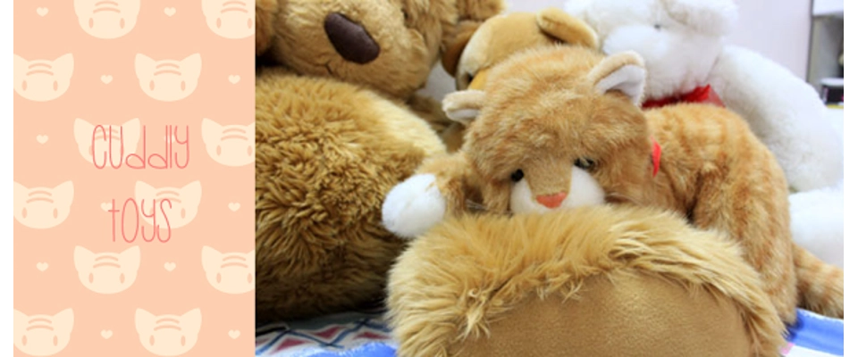 Change this image via the Design > Slideshow section of your Freewebstore Control Panel