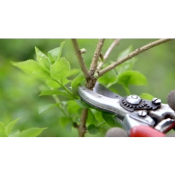 A Chance to Prune Ministries?