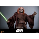 Hot Toys – Star Wars: Revenge of the S..