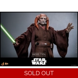 Hot Toys – Star Wars: Revenge of the S..
