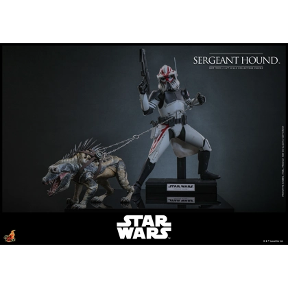 Hot Toys - Star Wars: The Clone Wars - 1/6th scale Sergeant Hound Collectible Figure Hot Toys - Star Wars: The Clone Wars - 1/6th scale Sergeant Hound Collectible Figure