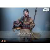 Hot Toys - Star Wars: Return of the Je.. Hot Toys - Star Wars: Return of the Je..