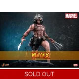 Hot Toys - Marvel Comics - 1/6th scal.. Hot Toys - Marvel Comics - 1/6th scal..