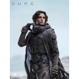 INART Paul Atreides Sixth Scale Figure..