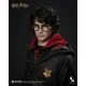 INART - Harry Potter and the Goble..