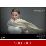 Hot Toys - Star Wars Episode II: Attac..