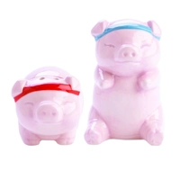 Rude Pigs Salt And Pepper Shakers