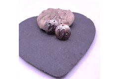 Astrology birth signs copper earrings
