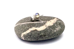 Teardroplet Stud Earrings