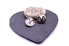 Astrology birth signs copper earrings