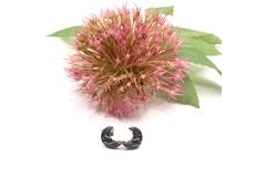 Moon Mountain Stud Earrings