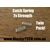 Catch Spring Double Strength Twin Pack Catch Spring Double Strength Twin Pack