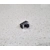 Nightingale Toggle Switch Worker Nightingale Toggle Switch Worker
