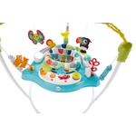 Fisher-Price Jumperoo Colour Climber